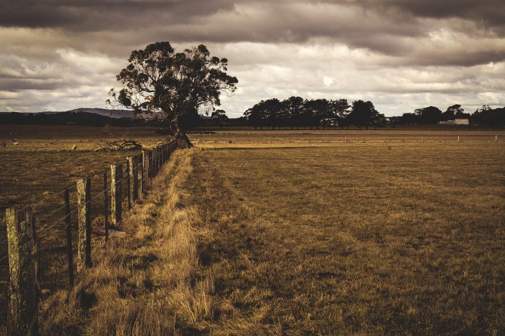 farm dispute lawyer