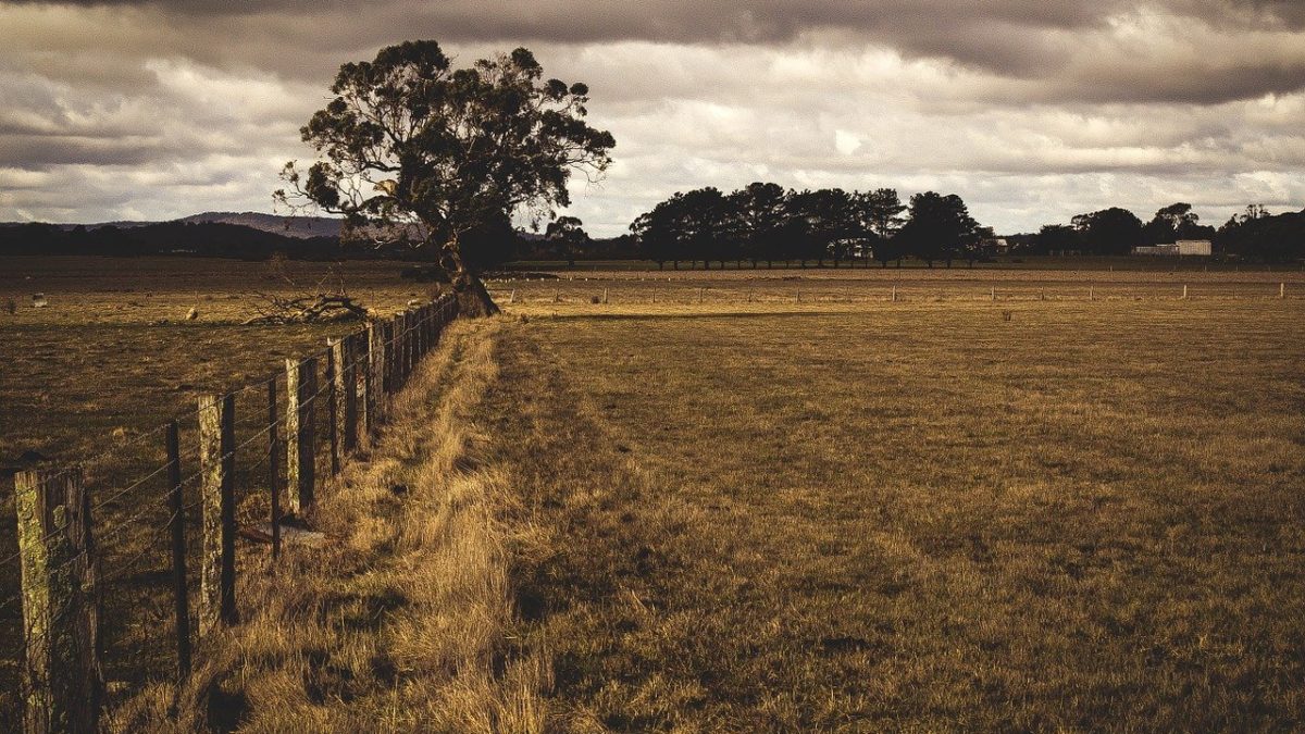 farm dispute lawyer