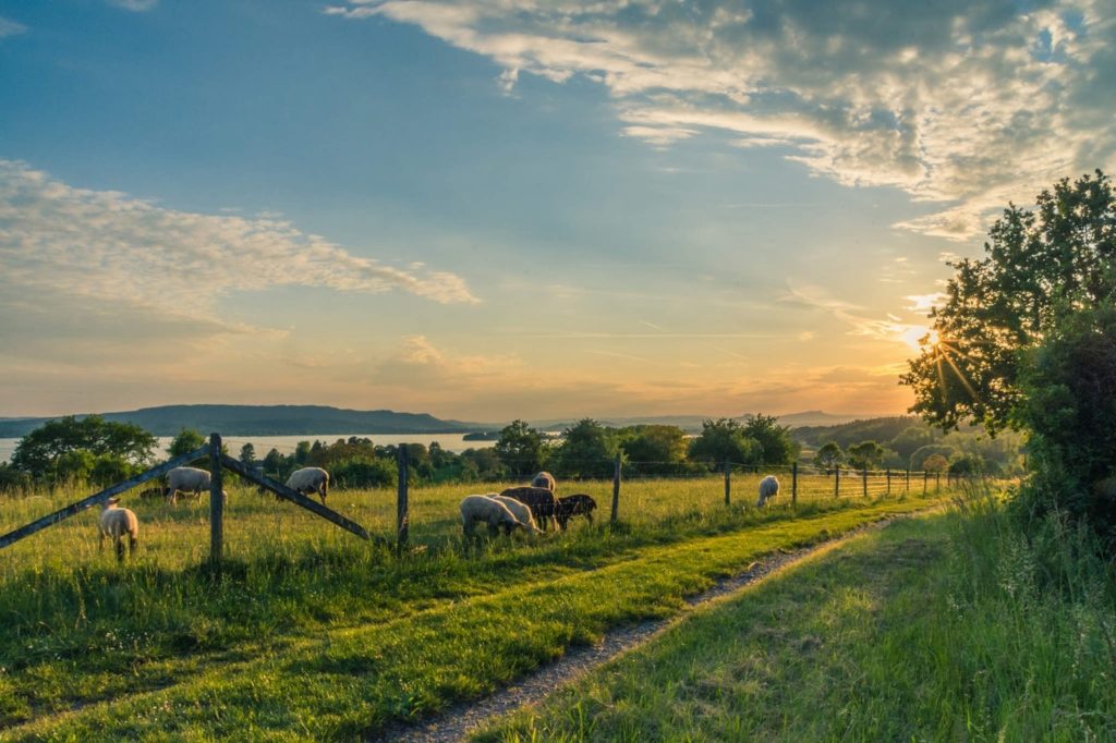 ohio lawyers for farmers