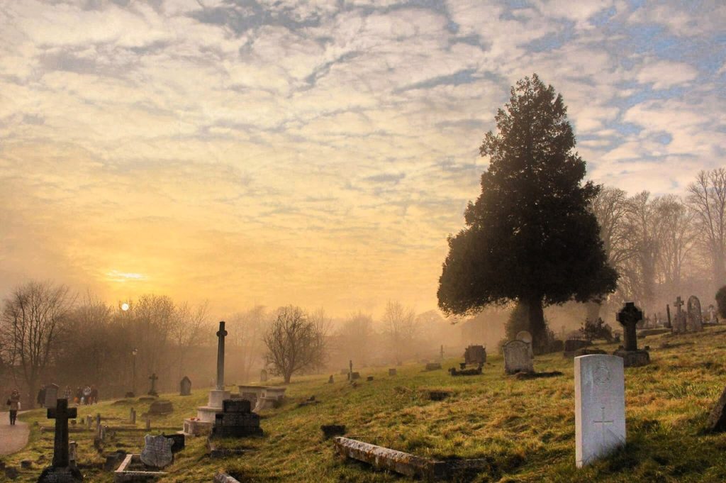 what happens when you die without a will