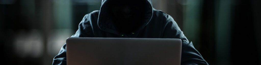 cyber crime lawyer